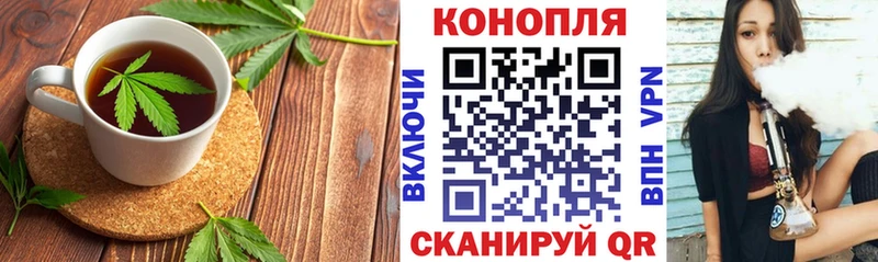 Canna-Cookies марихуана  купить закладку  Краснообск 