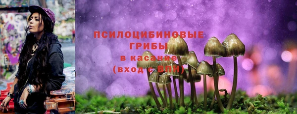 крисы Балабаново