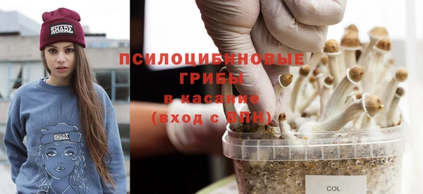 мет Баксан