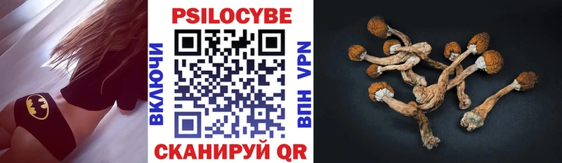 Псилоцибиновые грибы Cubensis  цена наркотик  Краснообск 
